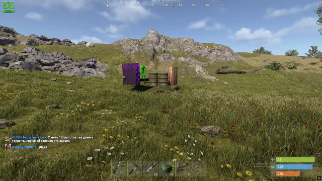Chams — Rust screenshot 1
